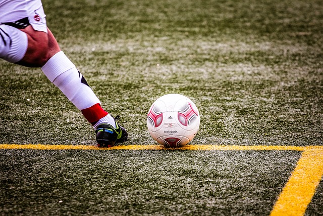 在高水平的 在高水平的