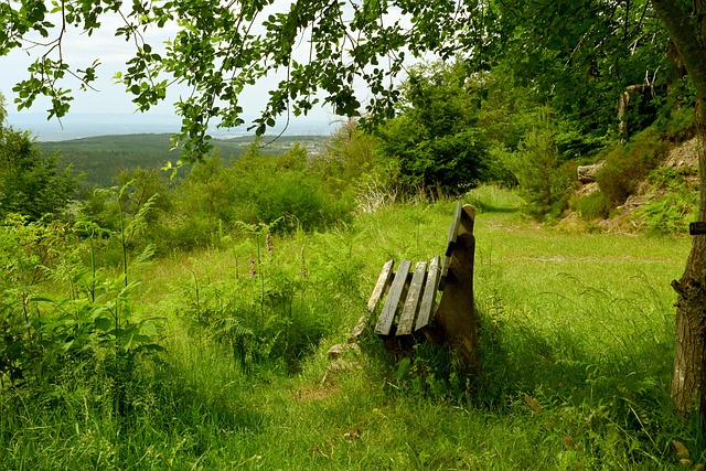 然在体力和 然在体力和