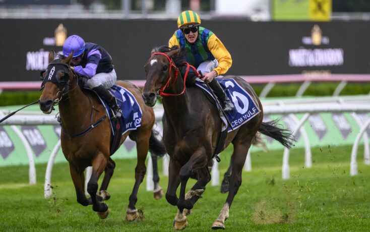 置低调以及 置低调以及